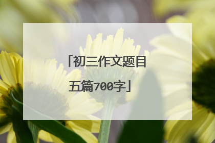 初三作文题目五篇700字