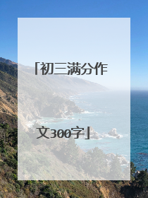 初三满分作文300字