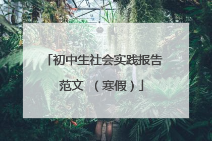 初中生社会实践报告 范文 （寒假）