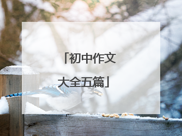 初中作文大全五篇