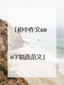 初中作文600字精选范文