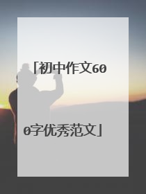 初中作文600字优秀范文
