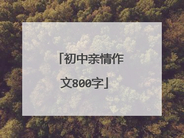 初中亲情作文800字