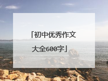 初中优秀作文大全600字