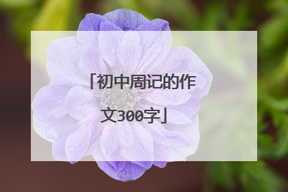 初中周记的作文300字
