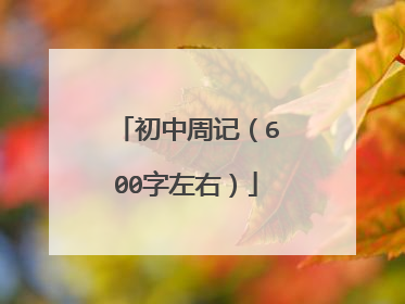 初中周记（600字左右）