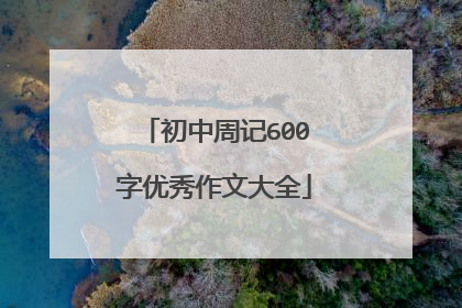 初中周记600字优秀作文大全