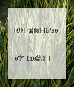 初中暑假日记300字【10篇】