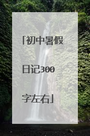 初中暑假日记300字左右