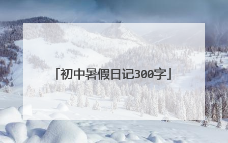 初中暑假日记300字
