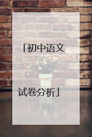 初中语文试卷分析