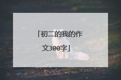初二的我的作文300字