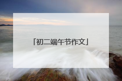 初二端午节作文