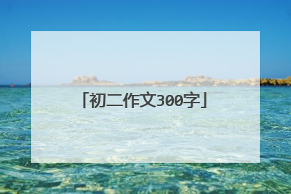 初二作文300字