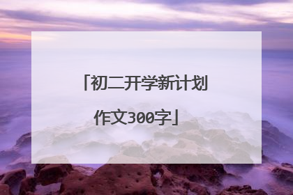 初二开学新计划作文300字
