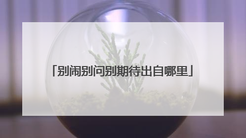 别闹别问别期待出自哪里