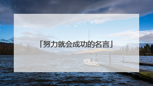 努力就会成功的名言
