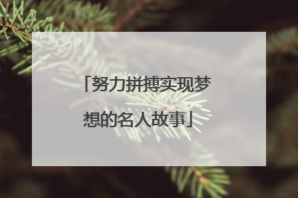 努力拼搏实现梦想的名人故事