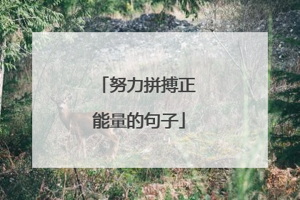 努力拼搏正能量的句子