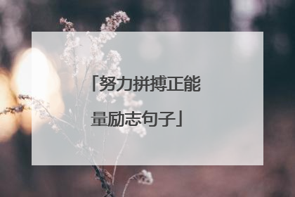 努力拼搏正能量励志句子