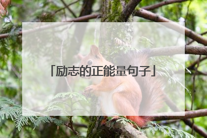 励志的正能量句子
