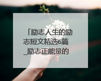 励志人生的励志短文精选6篇_励志正能量的小短文
