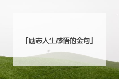 励志人生感悟的金句