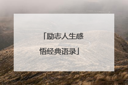 励志人生感悟经典语录