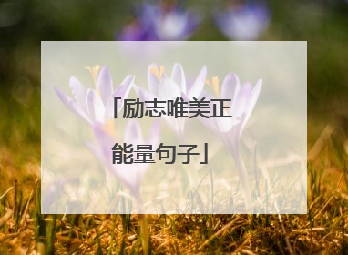 励志唯美正能量句子