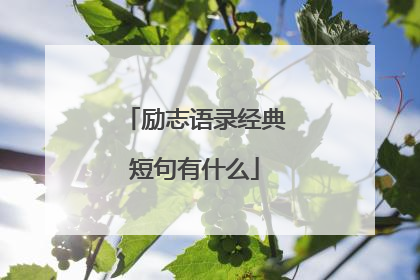 励志语录经典短句有什么
