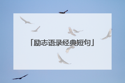 励志语录经典短句