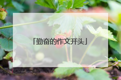勤奋的作文开头