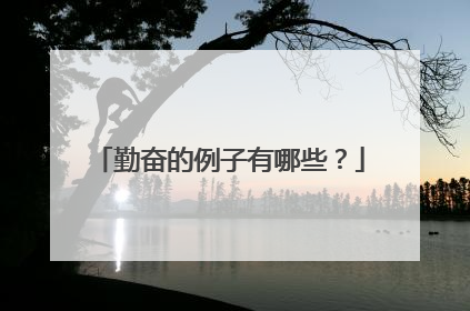 勤奋的例子有哪些？