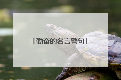 勤奋的名言警句