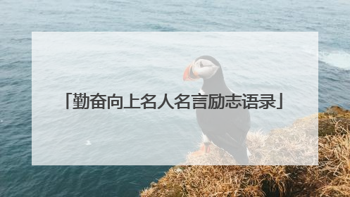 勤奋向上名人名言励志语录