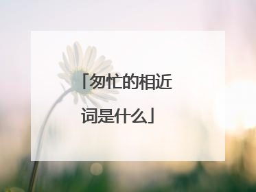 匆忙的相近词是什么