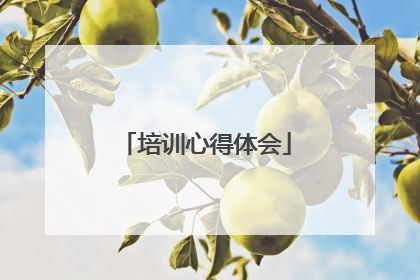 培训心得体会