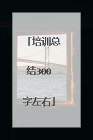 培训总结300字左右