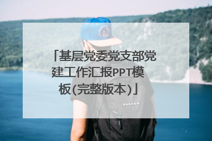 基层党委党支部党建工作汇报PPT模板(完整版本)