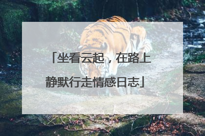 坐看云起，在路上静默行走情感日志