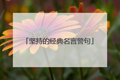 坚持的经典名言警句