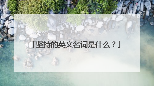 坚持的英文名词是什么？