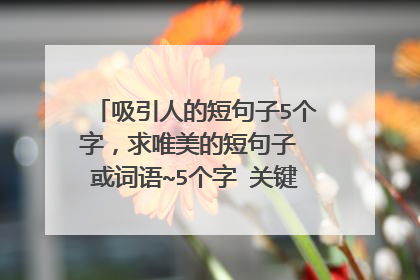 吸引人的短句子5个字，求唯美的短句子 或词语~5个字 关键词 生日 唯