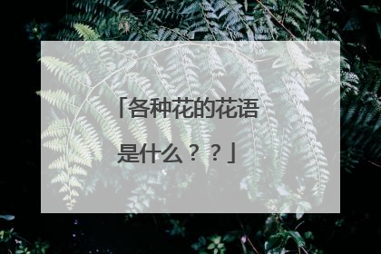各种花的花语是什么？？