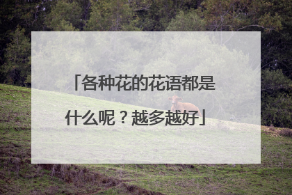 各种花的花语都是什么呢？越多越好