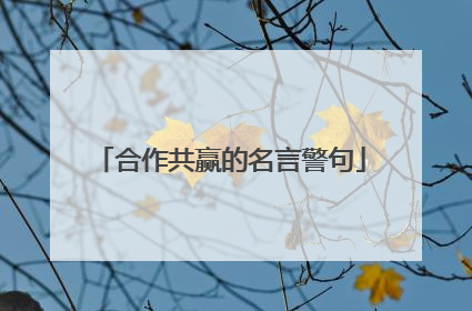 合作共赢的名言警句