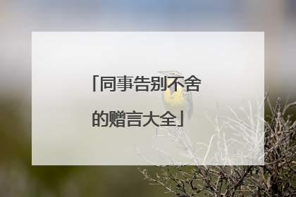 同事告别不舍的赠言大全