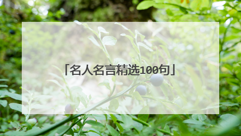 名人名言精选100句