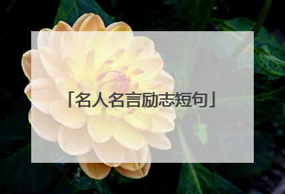 名人名言励志短句