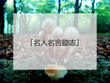 名人名言励志